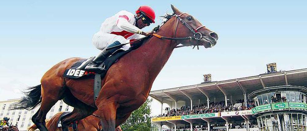 Das soll ein Fest werden: Am 3. Oktober geht es rund in Hoppegarten.