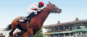 Das soll ein Fest werden: Am 3. Oktober geht es rund in Hoppegarten.