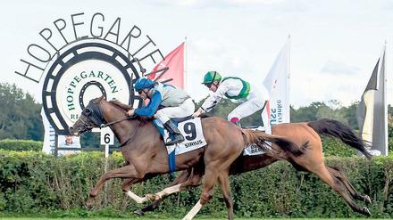 Die Galopprennbahn in Berlin-Hoppegarten gilt als eine der Schönsten ihrer Art. Neben dem "Preis der Deutschen Einheit", findet hier zum Beispiel der "Große Preis von Berlin" statt. 
