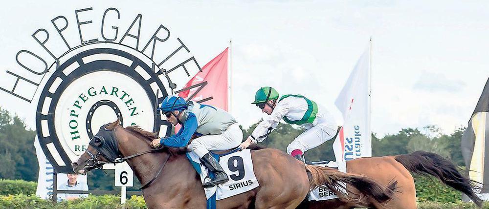 Die Galopprennbahn in Berlin-Hoppegarten gilt als eine der Schönsten ihrer Art. Neben dem "Preis der Deutschen Einheit", findet hier zum Beispiel der "Große Preis von Berlin" statt.