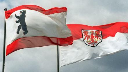 Nebeneinander im Wind flattern Bär und Adler. Berlin und das umliegende Bundesland Brandenburg streben eine Länderfusion an. 