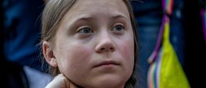 Wie die 16-jährige Klimaschutzaktivisten trug die Puppe zwei geflochtene Zöpfe.