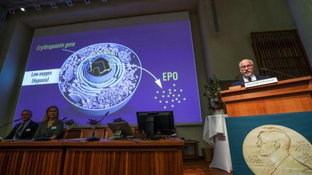 Randall Johnson (rechts), verkündet in Stockholm die Nobelpreisträger 2019 für Physiologie oder Medizin.