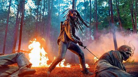 Vielleicht ist es erklärungsbedürftig, das hier gerne zu schauen. Seit zehn Jahren kämpft Michonne (Danai Gurira) gegen Untote. 