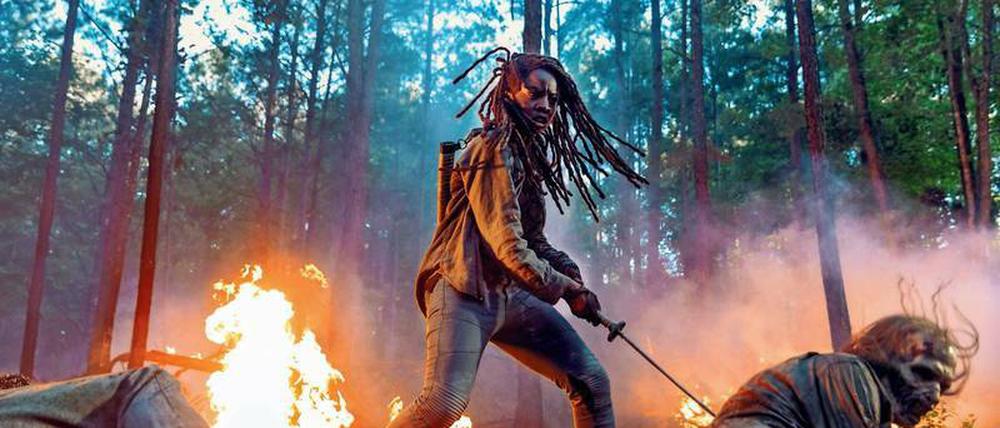 Vielleicht ist es erklärungsbedürftig, das hier gerne zu schauen. Seit zehn Jahren kämpft Michonne (Danai Gurira) gegen Untote. 