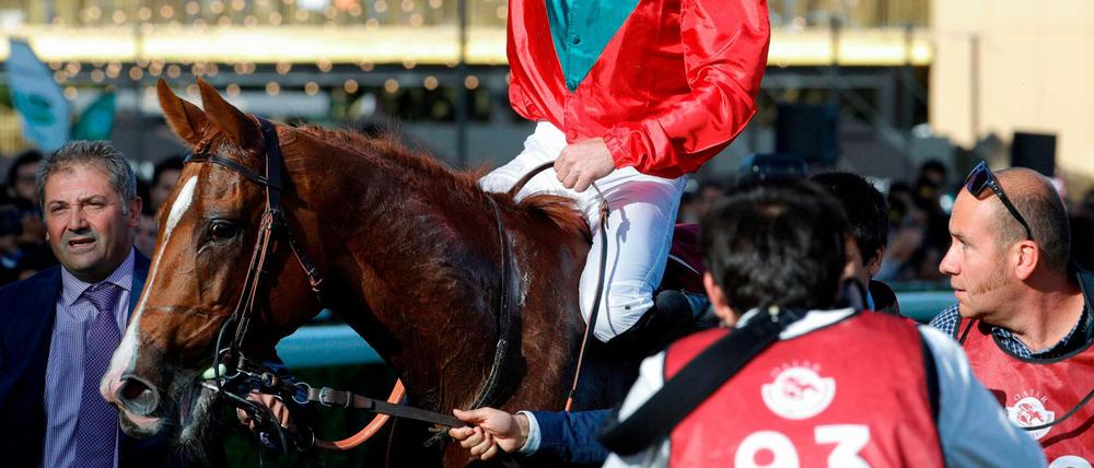 Gut gelaufen. Der französiche Jockey Pierre-Charles Boudot und Waldgeist nach dem gemeinsamen Triumph beim Rennen in Paris.