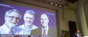 Die drei Gewinner des Medizin-Nobelpreises 2019, projiziert auf eine Leinwand: Gregg Semenza , Peter Ratcliffe und William Kaelin (von rechts nach links). 