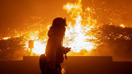Ein Feuerwehrmann geht in Los Angeles an brennenden Bäumen vorbei.