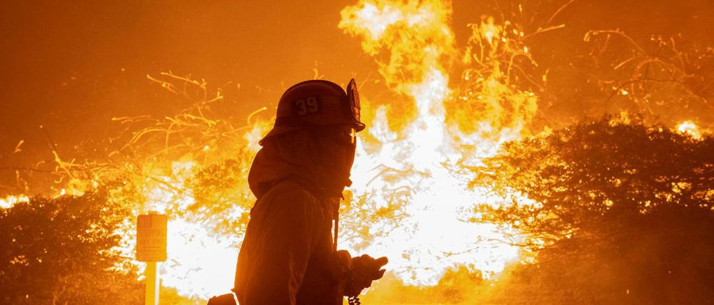 Ein Feuerwehrmann geht in Los Angeles an brennenden Bäumen vorbei.