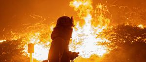 Ein Feuerwehrmann geht in Los Angeles an brennenden Bäumen vorbei.
