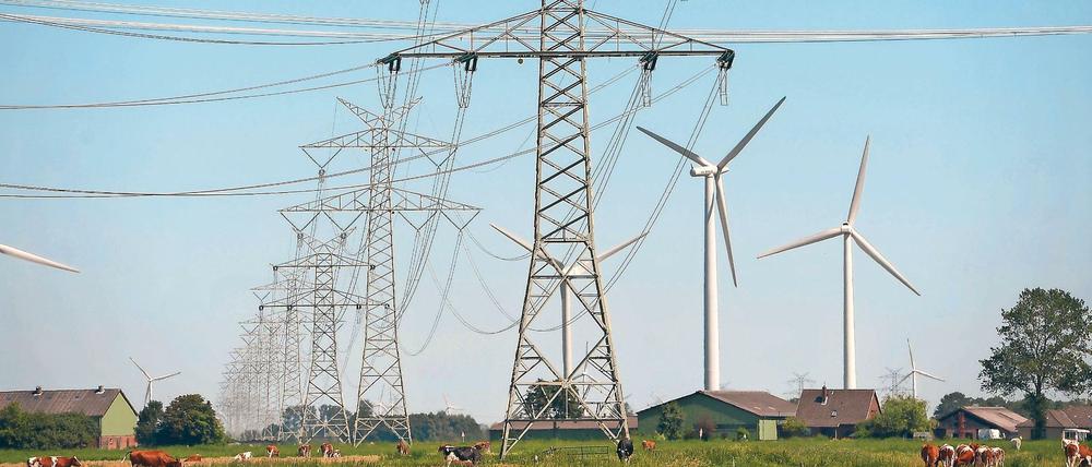 Windräder und Strommasten stehen in Schleswig-Holstein auf einem Feld.