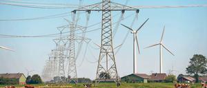 Windräder und Strommasten stehen in Schleswig-Holstein auf einem Feld.
