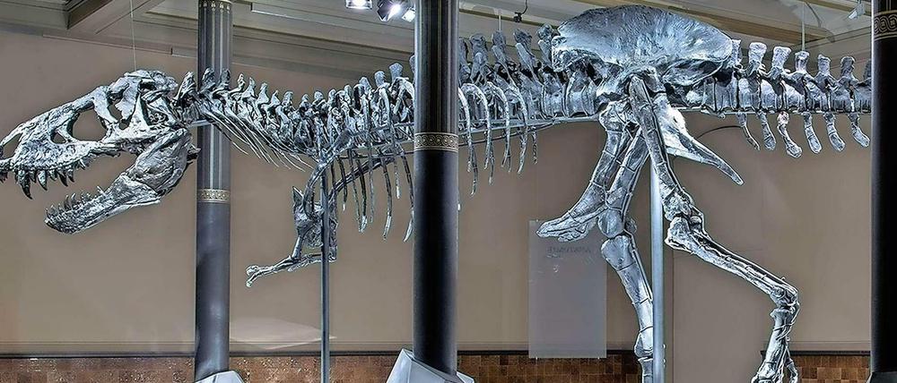 Tristan bleibt länger in Berlin und bietet eine gute Kulisse für gruselige Selfies.