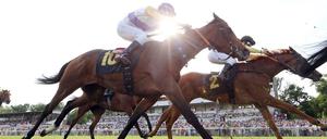 Hoppe Hoppe Garten: Die Rennbahn ist auch was für Atmosphärenjunkies.