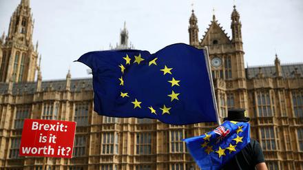 Ein Anti-Brexit-Demonstrant vor dem britischen Parlament in London. 