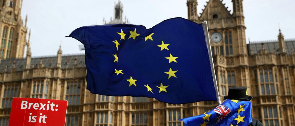 Ein Anti-Brexit-Demonstrant vor dem britischen Parlament in London. 