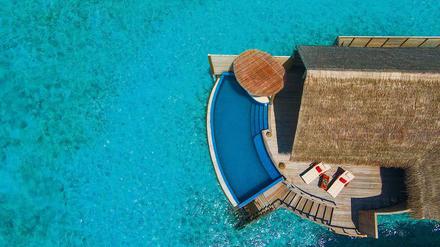 Schwere Entscheidung: in den großen oder kleinen Pool?