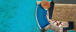 Schwere Entscheidung: in den großen oder kleinen Pool?