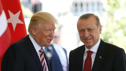 US-Präsident Donald Trump und der türkische Präsident Recep Tayyip Erdogan im Mai 2017 in Washington 