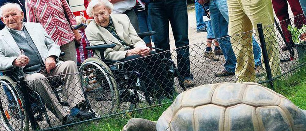 Wohin mit dem Erbe? Von Nachlassspenden profitiert auch der von vielen Berlinern seit Kindheitstagen so geliebte Zoo. 