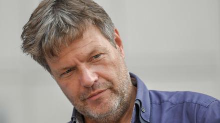 Robert Habeck, Bundesvorsitzender Bündnis 90/Die Grünen