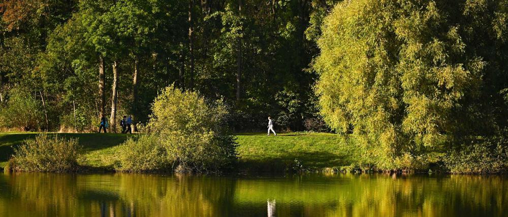 Herbstidylle am Mittelsee in Bayern: Der schöne Oktoberwetter lädt zum Spazierengehen ein.
