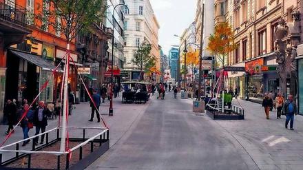 Das Bild zeigt die Wiener Begegnungszone in der Rotenturmstraße. Hier begegnen sich Menschen. Im Berliner Pendant begegnen sich nur Steine.