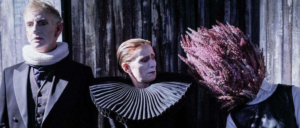Bühnenadaption. „Der Hals der Giraffe“ nach einem Roman von Judith Schalansky läuft am Deutschen Theater.