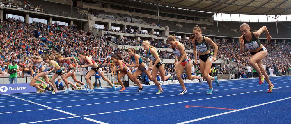 Kleiner Auflauf. Das Istaf von Berlin wird nicht durch den Weltverband geadelt.