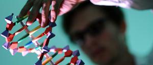 Die neue Methode soll die DNA präziser editieren als die Genschere Crispr.