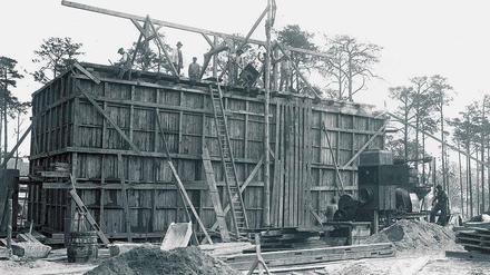 Der 1919 geborene Horst Krüger wuchs in der Berliner Siedlung Eichkamp auf. Die Häuser wurden im Wesentlichen in den 1920er Jahren gebaut.