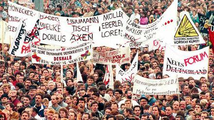 Zwischen 250.000 und 500.000 Demonstranten, vielleicht auch mehr, versammelten sich vor 30 Jahren auf dem Alexanderplatz.   