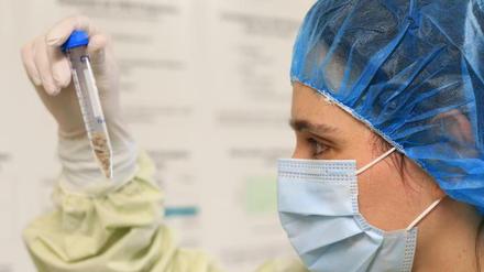 Spezialisiert. DNA-Analystin der Forensischen Genetik im Institut für Rechtsmedizin der Charité.