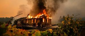 Ein Haus brennt bei einem Buschbrand im Sonoma County lichterloh.