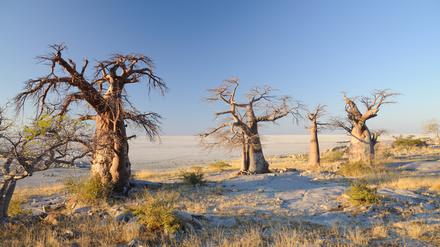 Das Gebiet der Makgadikgadi-Salzpfannen im heutigen Botsuana.