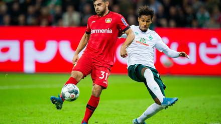 Harter Kampf. Leverkusens Kevin Volland (l.) und Bremens Theodor Gebre Selassie 