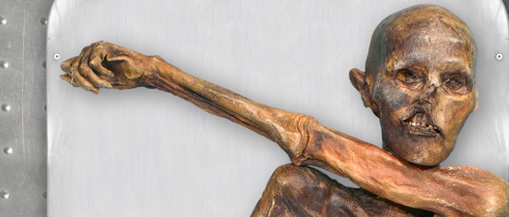Ötzis Mumie liegt im Archäologie Museums Südtirol in Bozen.