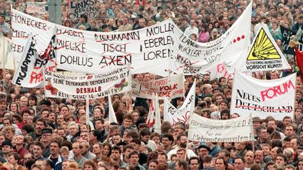 Am 4. November 1989 kamen rund eine Million DDR-Bürger - so damalige Schätzungen - zu einer Kundgebung auf dem Alexanderplatz zusammen. Die Demonstration war genehmigt und wurde im DDR-Fernsehen übertragen.