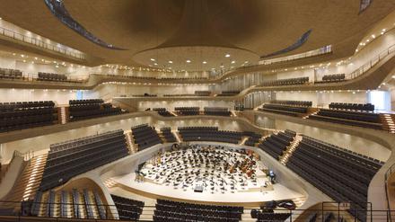 Gewöhnungsbedürftig. Der große Saal der Elbphilharmonie.
