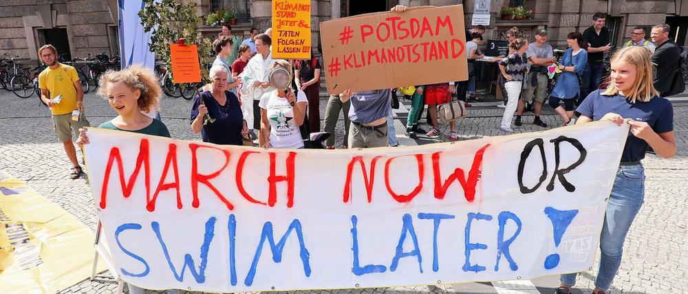 Klimaschützer, hier bei einer Demonstration in Potsdam, fordern schon seit längerem den nationalen Klimanotstand.