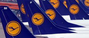 Flugzeuge der Lufthansa auf dem Flughafen Düsseldorf (Archiv).