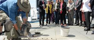 Zehn von Millionen: Seit 2015 erinnern zehn Stolpersteine vor dem Bundestag an die jüdischen Mieter, die einst am Schiffbauerdamm 29 lebten.