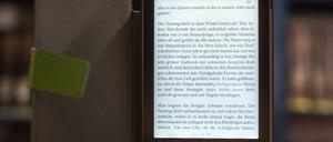 Lesen im digitalen Zeitalter. Ein E-Book-Reader.