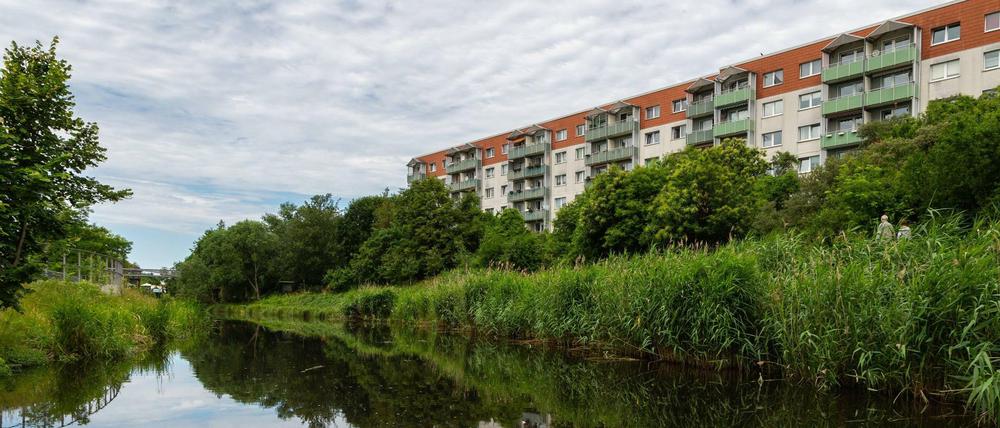 Mittlerweile interessieren sich immer Wohnungssuchende für Städte wie Eberswalde.