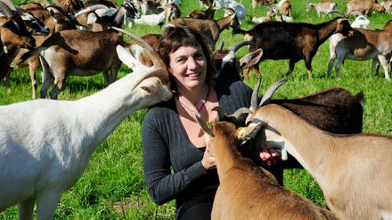 Nichts zu meckern. 1993 begann Gela Angermann mit der Ziegenzucht und Käseherstellung im Luch. Heute ist ihre Ziegenkäserei Karolinenhof in Kremmen nicht zuletzt dank des gemütlichen Wiesencafés ein beliebtes Ausflugsziel. Im "Hofladenführer Brandenburg" erzählt auch Gela Angermann ihre Geschichte.   