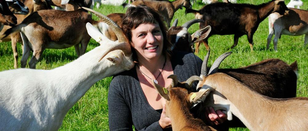 Nichts zu meckern. 1993 begann Gela Angermann mit der Ziegenzucht und Käseherstellung im Luch. Heute ist ihre Ziegenkäserei Karolinenhof in Kremmen nicht zuletzt dank des gemütlichen Wiesencafés ein beliebtes Ausflugsziel. Im "Hofladenführer Brandenburg" erzählt auch Gela Angermann ihre Geschichte.