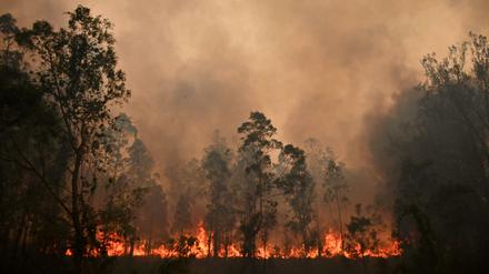 Ein großes Feuer brennt in Bobin, das 350 Kilometer nördlich von Sydney liegt.