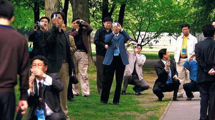 Chinesische Touristen, hier im Tiergarten.
