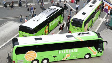 Busse des Unternehmens Flixbus stehen am Hauptbahnhof in Frankfurt am Main.