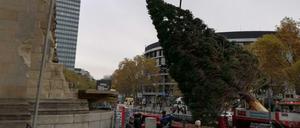 Nicht abgeneigt. Die Berliner gucken zu, wie der Baum aufgestellt wird.